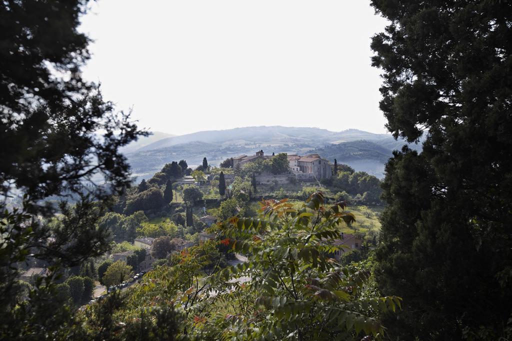 Il Ghiottone Umbro Bed & Breakfast Todi Ruang foto
